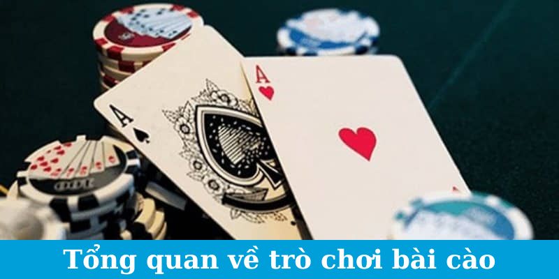 Giới Thiệu Về Bài Cào